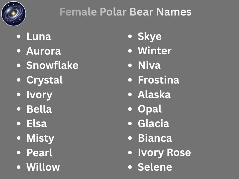 Female Polar Bear Names