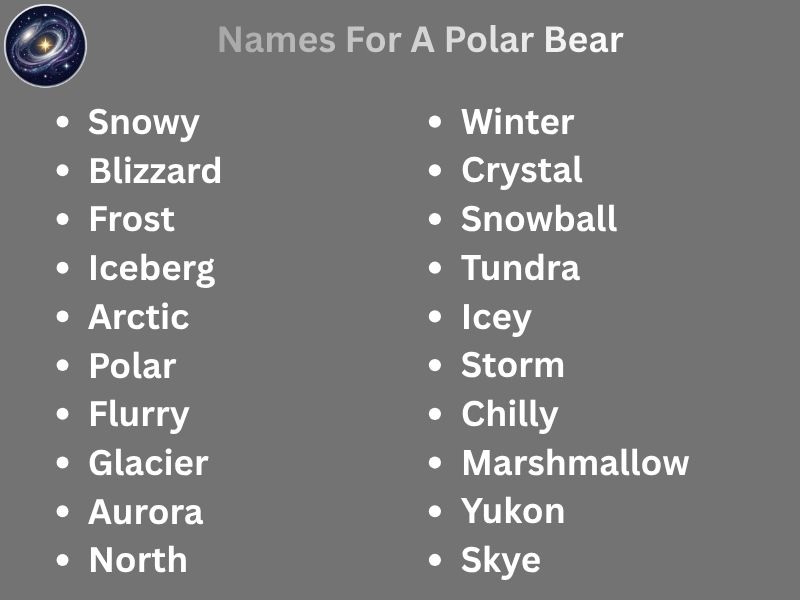 Names For A Polar Bear