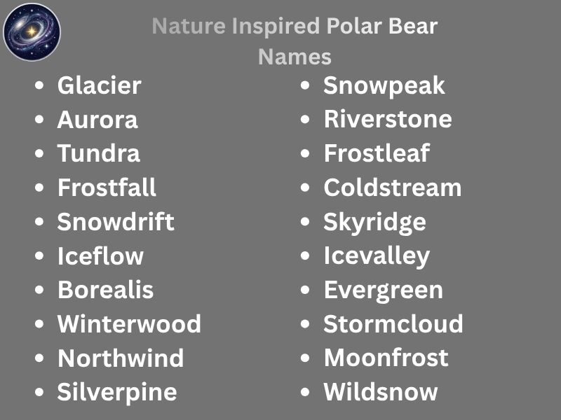 Nature Inspired Polar Bear Names