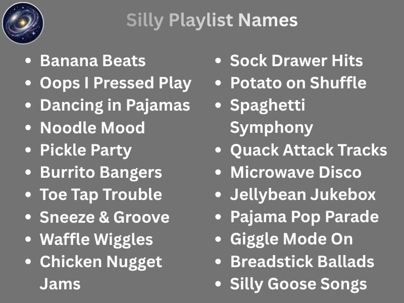 Silly Playlist Names