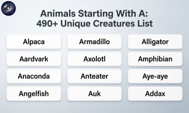 Animals Starting With A 490+ Unique Creatures List